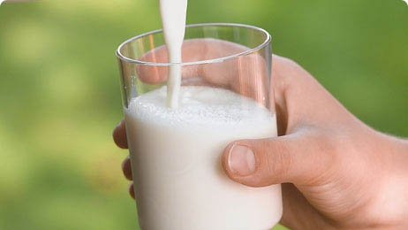Lactaid® Lactose Free Sour Cream, 16 oz - Harris Teeter